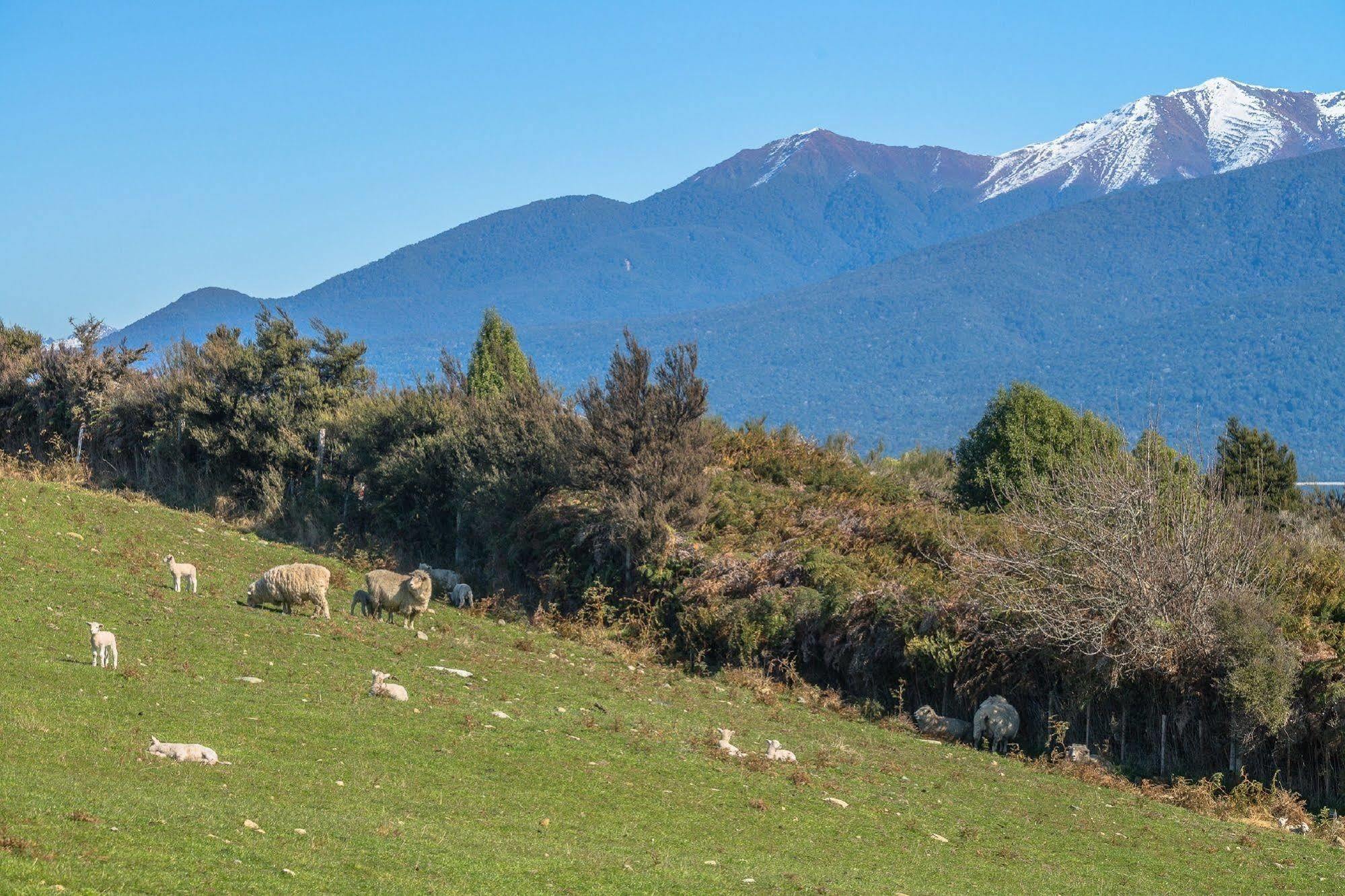 Loch Vista Bed & Breakfast Te Anau Zewnętrze zdjęcie